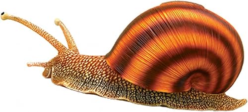 4D Dog Anatomy Model,Cat/Horse/Cow/Pig/AnimalCanine Skeleton, Animal Skeleton Specimen, Detachable Biology, Pet Clinic Veterinary TrainingSchool Teaching Tool,J - Poueer