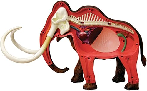 4D Dog Anatomy Model,Cat/Horse/Cow/Pig/AnimalCanine Skeleton, Animal Skeleton Specimen, Detachable Biology, Pet Clinic Veterinary TrainingSchool Teaching Tool,J - Poueer
