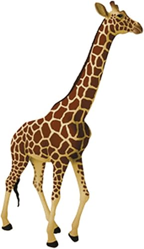 4D Dog Anatomy Model,Cat/Horse/Cow/Pig/AnimalCanine Skeleton, Animal Skeleton Specimen, Detachable Biology, Pet Clinic Veterinary TrainingSchool Teaching Tool,J - Poueer