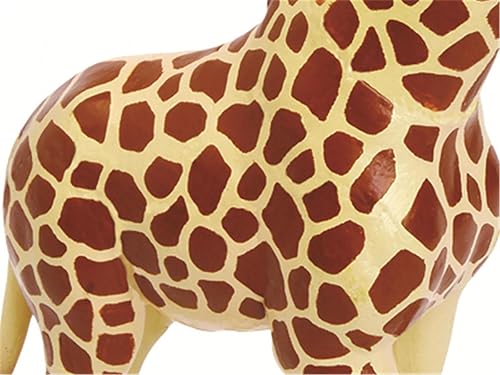 4D Dog Anatomy Model,Cat/Horse/Cow/Pig/AnimalCanine Skeleton, Animal Skeleton Specimen, Detachable Biology, Pet Clinic Veterinary TrainingSchool Teaching Tool,J - Poueer