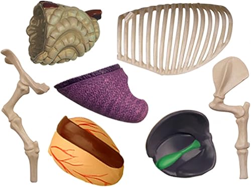 4D Dog Anatomy Model,Cat/Horse/Cow/Pig/AnimalCanine Skeleton, Animal Skeleton Specimen, Detachable Biology, Pet Clinic Veterinary TrainingSchool Teaching Tool,J - Poueer