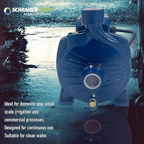 cpm158. Centrifuga Pump, Power 1 hp, 115V, Cooper Winding, 79ft Head, 24.2gpm Flow, S. Steel Shaft, Threaded inlet and outlet,Thermal protector,Brass priming plug. - Poueer