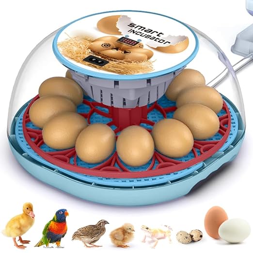 incubators for Hatching Eggs，12 Egg Incubator,Egg Incubator with Automatic Egg Turning，Incubator for Chicken Eggs，Chicken incubators for Hatching Eggs，Quail Egg Incubator - Poueer