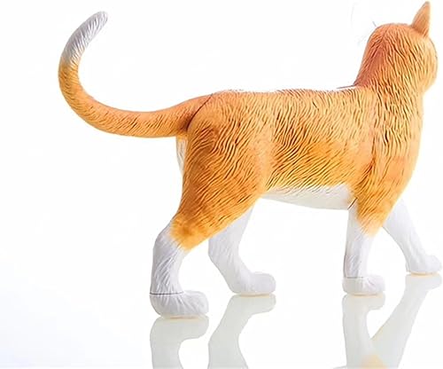 4D Dog Anatomy Model,Cat/Horse/Cow/Pig/AnimalCanine Skeleton, Animal Skeleton Specimen, Detachable Biology, Pet Clinic Veterinary TrainingSchool Teaching Tool,J - Poueer