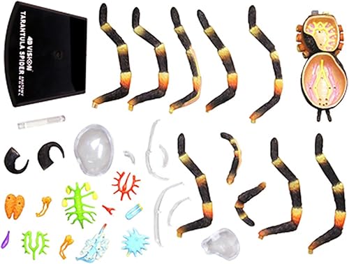 4D Dog Anatomy Model,Cat/Horse/Cow/Pig/AnimalCanine Skeleton, Animal Skeleton Specimen, Detachable Biology, Pet Clinic Veterinary TrainingSchool Teaching Tool,J - Poueer