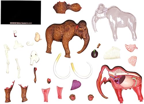 4D Dog Anatomy Model,Cat/Horse/Cow/Pig/AnimalCanine Skeleton, Animal Skeleton Specimen, Detachable Biology, Pet Clinic Veterinary TrainingSchool Teaching Tool,J - Poueer