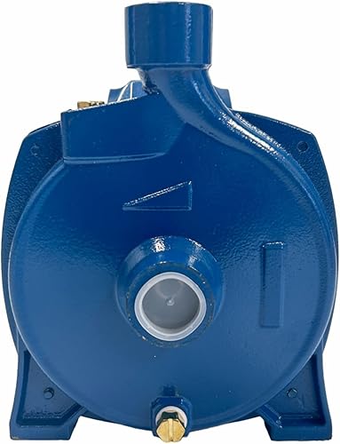 cpm158. Centrifuga Pump, Power 1 hp, 115V, Cooper Winding, 79ft Head, 24.2gpm Flow, S. Steel Shaft, Threaded inlet and outlet,Thermal protector,Brass priming plug. - Poueer