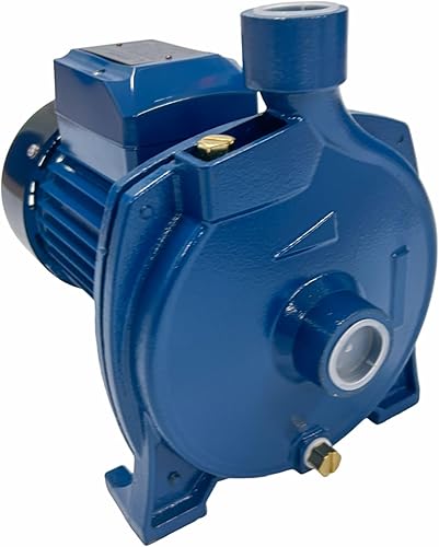 cpm158. Centrifuga Pump, Power 1 hp, 115V, Cooper Winding, 79ft Head, 24.2gpm Flow, S. Steel Shaft, Threaded inlet and outlet,Thermal protector,Brass priming plug. - Poueer