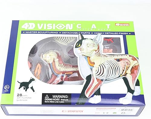 4D Dog Anatomy Model,Cat/Horse/Cow/Pig/AnimalCanine Skeleton, Animal Skeleton Specimen, Detachable Biology, Pet Clinic Veterinary TrainingSchool Teaching Tool,J - Poueer