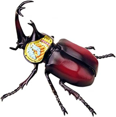 4D Dog Anatomy Model,Cat/Horse/Cow/Pig/AnimalCanine Skeleton, Animal Skeleton Specimen, Detachable Biology, Pet Clinic Veterinary TrainingSchool Teaching Tool,J - Poueer