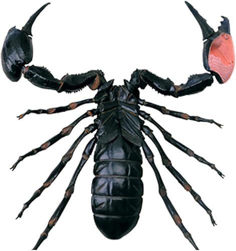 4D Dog Anatomy Model,Cat/Horse/Cow/Pig/AnimalCanine Skeleton, Animal Skeleton Specimen, Detachable Biology, Pet Clinic Veterinary TrainingSchool Teaching Tool,J - Poueer