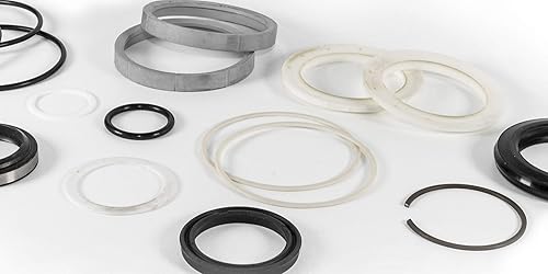 70021495 Aftermarket Replacement Seal Kit for JLG - Poueer