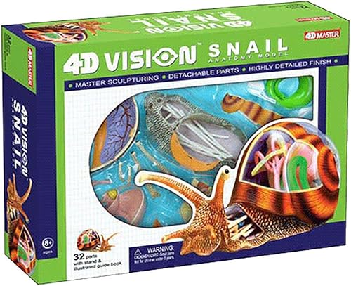 4D Dog Anatomy Model,Cat/Horse/Cow/Pig/AnimalCanine Skeleton, Animal Skeleton Specimen, Detachable Biology, Pet Clinic Veterinary TrainingSchool Teaching Tool,J - Poueer