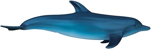 4D Dog Anatomy Model,Cat/Horse/Cow/Pig/AnimalCanine Skeleton, Animal Skeleton Specimen, Detachable Biology, Pet Clinic Veterinary TrainingSchool Teaching Tool,J - Poueer